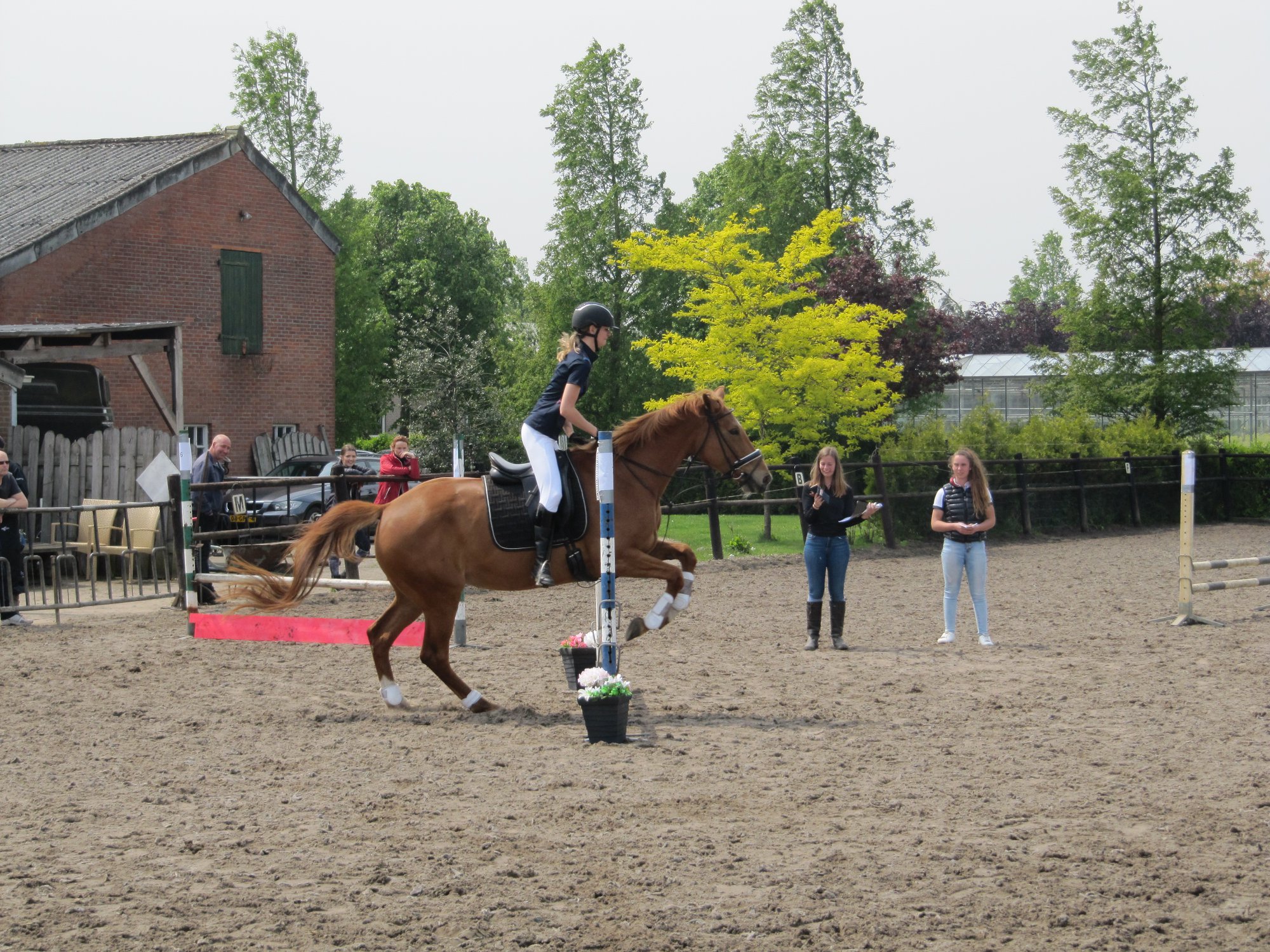 springwedstrijd