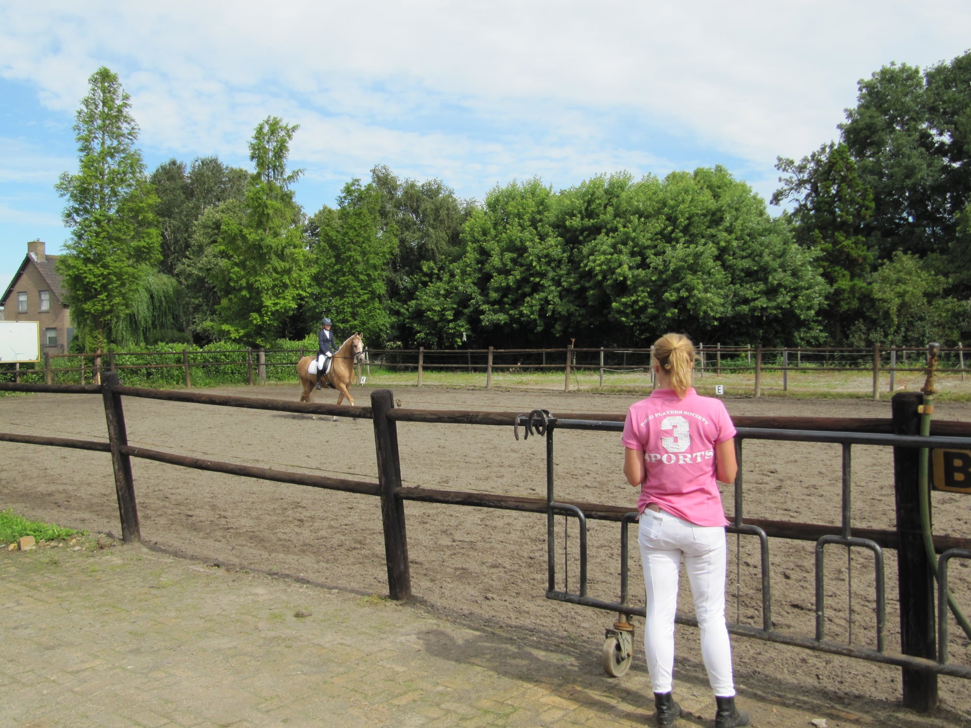 dressuur wedstrijd